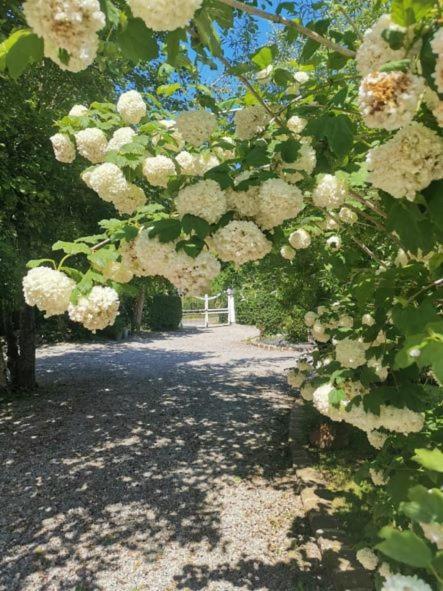 Le Clos De La Rose Gite Bien Etre Wirwignes Kültér fotó