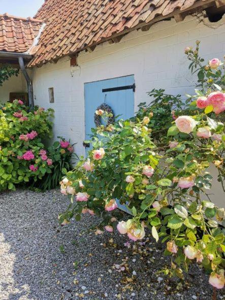 Le Clos De La Rose Gite Bien Etre Wirwignes Kültér fotó